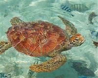 Bora Bora - Four Seasons